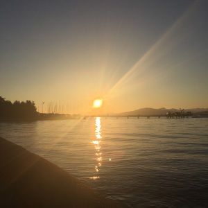 Meet your Posher, Noam